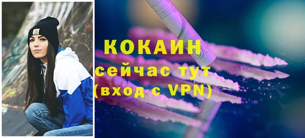 стаф Инта