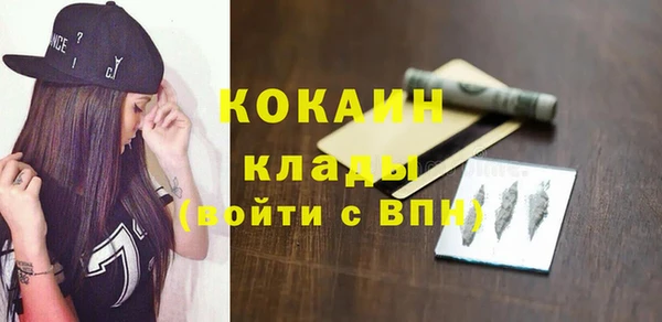 стаф Инта
