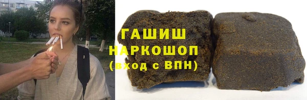 стаф Инта