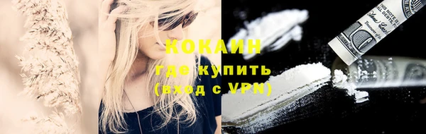 стаф Инта