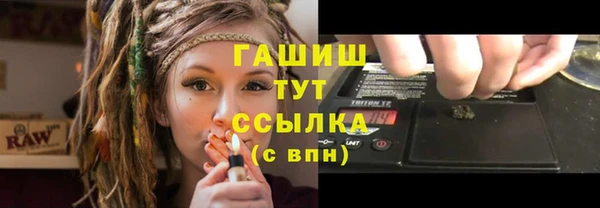 прущие грибы Иннополис