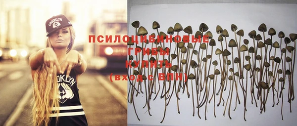 spice Зеленокумск