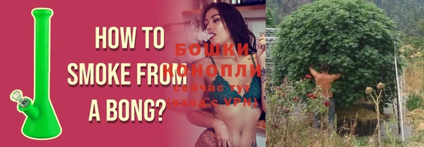 стаф Инта