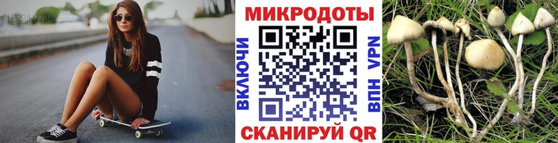 Купить закладки Выборг Псилоцибиновые грибы Psilocybine cubensis